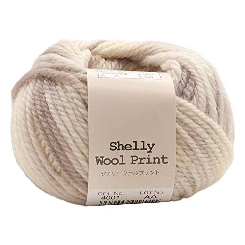 元廣(Motohiro) スキー 手編み毛糸 シェリーウールプリント 並太(5玉セット) Col.4...