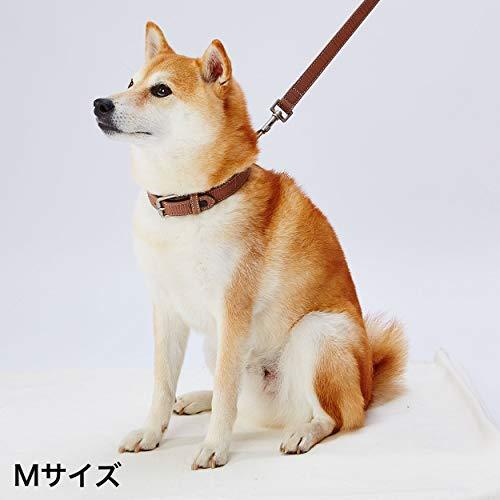 ペティオ (Petio) フラッシュリード レザーブラウン 犬 M サイズ