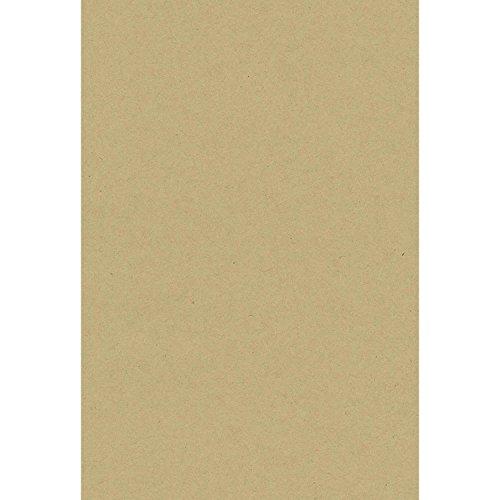 タカ印 ポップ用紙 16-3151 はがき大 クラフト 100枚