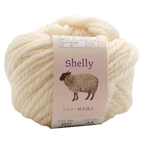 元廣(Motohiro) スキー 手編み毛糸 シェリー純毛極太(10玉セット) Col.3001