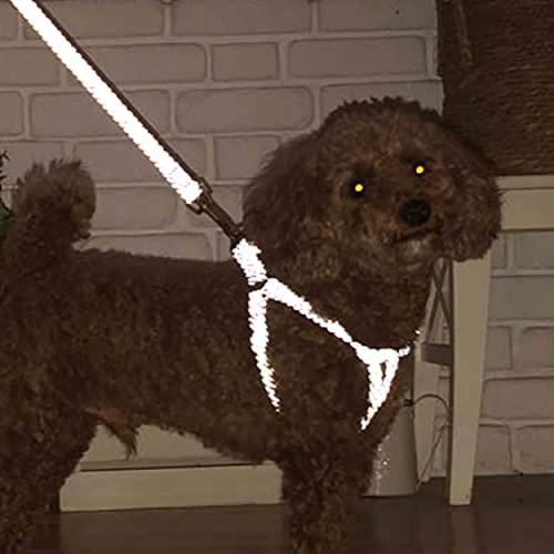 ペティオ (Petio) 犬用胴輪 フラッシュソフトハーネス Sサイズ ブルー