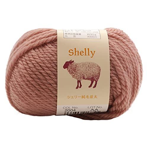 元廣(Motohiro) スキー 手編み毛糸 シェリー純毛並太(10玉セット) Col.2004