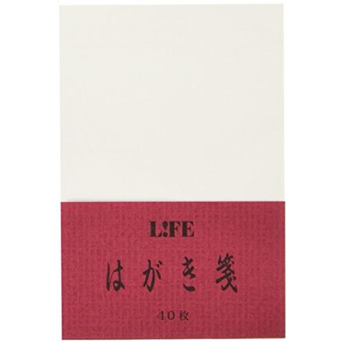 ライフ ハガキ箋 無地 WA39