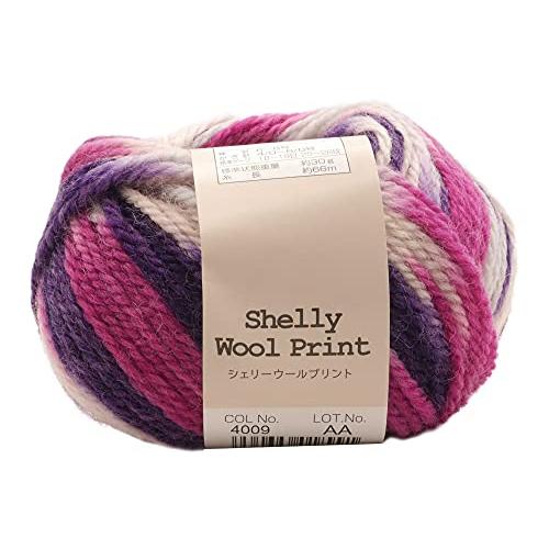 元廣(Motohiro) スキー 手編み毛糸 シェリーウールプリント 並太(5玉セット) Col.4...