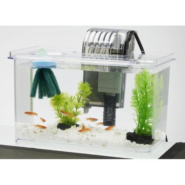 Tetra テトラ メダカの繁殖を楽しむセット S 水槽 アクアリウム 熱帯魚 メダカ 金魚