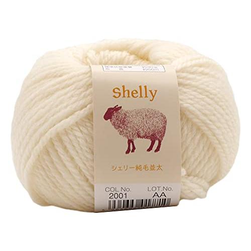 元廣(Motohiro) スキー 手編み毛糸 シェリー純毛並太(10玉セット) Col.2001