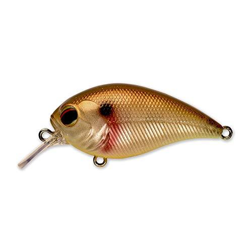 ペイフォワード(Pay Forward) ルアー ワンエイトSR #010 ステインギル