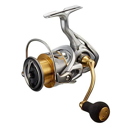 ダイワ(DAIWA) 21 フリームス LT4000-C