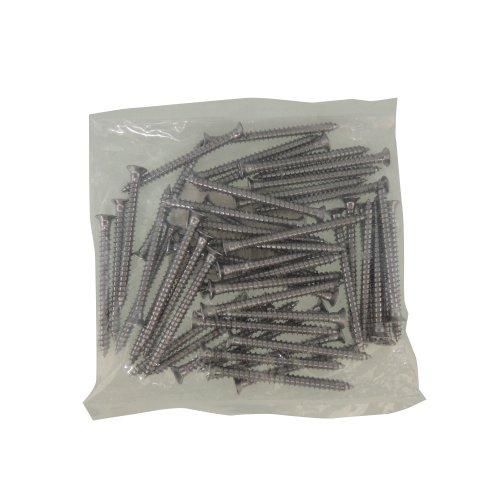 ロイヤル Aタッピング AT-P 40mm 50本入 クローム