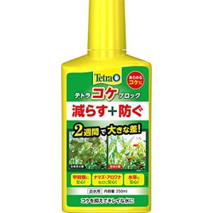 テトラ (Tetra) コケブロック 250ml コケ抑制 既に生えているコケ対策 これから生えるコケの予防 甲殻類も安心 ナマズ アロワナなど