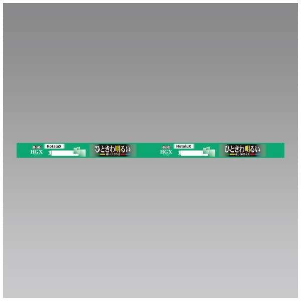 ホタルクス FL15EX-N-X2 昼白色