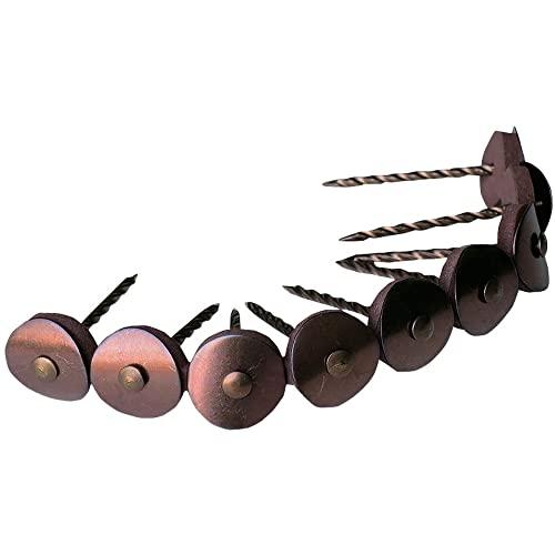 ダイドーハント (DAIDOHANT) (傘釘) ステンレス連結傘釘 ブロンズ  木下地用  (SU...