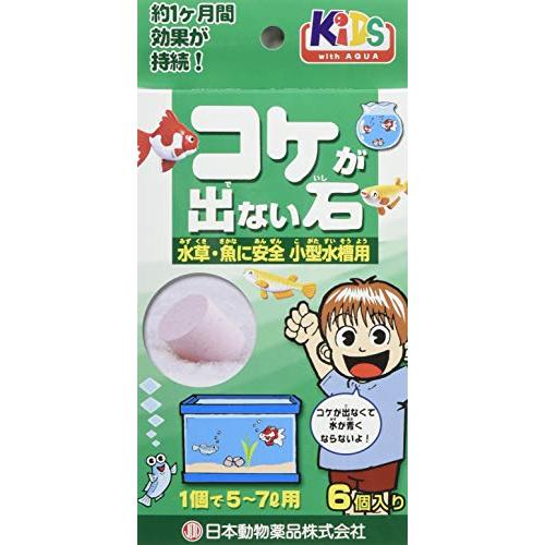 ニチドウ コケがでない石 小型水槽用