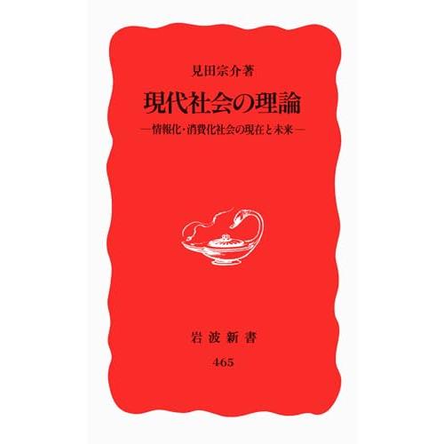 現代社会の理論: 情報化・消費化社会の現在と未来 (岩波新書 新赤版 465)