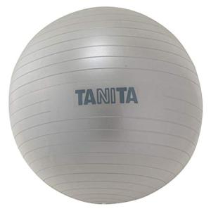 タニタ(Tanita) サイズ ジムボール TS-962 シルバー｜川西ストア