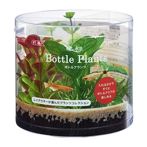 GEX ジェックス 癒し水景 ボトルプランツ アヌビアス