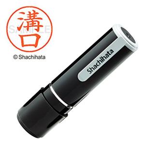 シャチハタ 印鑑 ハンコ ネーム9 XL-9 印面9.5ミリ 溝口｜川西ストア