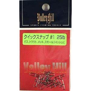 バレーヒル(ValleyHill) クイックスナップ #1