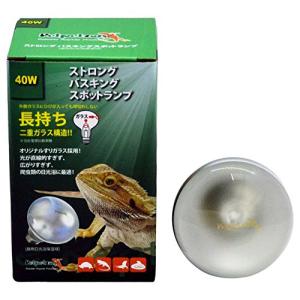 ゼンスイ ストロング バスキングスポットランプ 40W｜hapitize