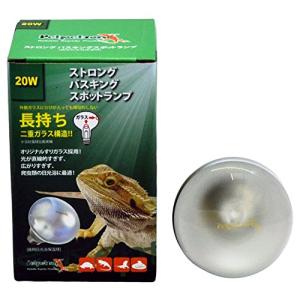 ゼンスイ ストロング バスキングスポットランプ 20W 1個 (x 1)｜hapitize