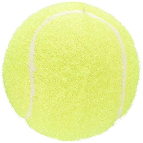 スーパーキャット (Super Cat) 音のなる テニスボール 2個入 S