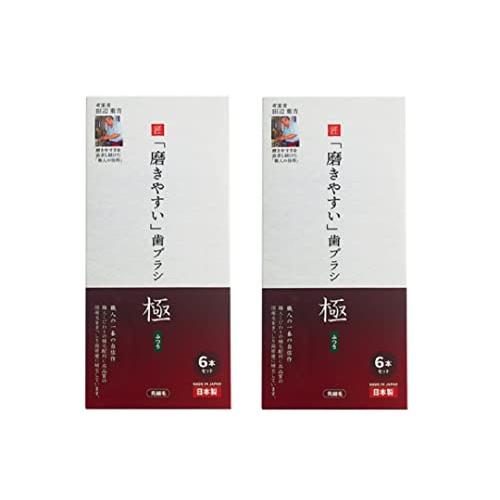 お得な2個セット歯ブラシ職人 田辺重吉考案 LT-53 「磨きやすい」歯ブラシ 極（ふつう）6本セッ...