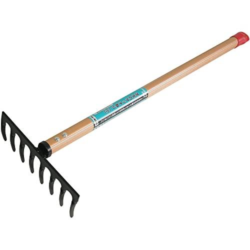 キンボシ(Kinboshi) ゴールデンスター(Kinboshi)芝生のサッチ取り(小)8本爪600...