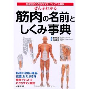 ぜんぶわかる筋肉の名前としくみ事典―部位別にわかりやすくビジュアル解説｜hapitize