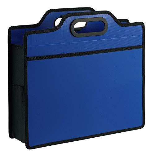 ライオン事務器 キャリングバッグ ビジカル A4 横 BK-353B ブルー