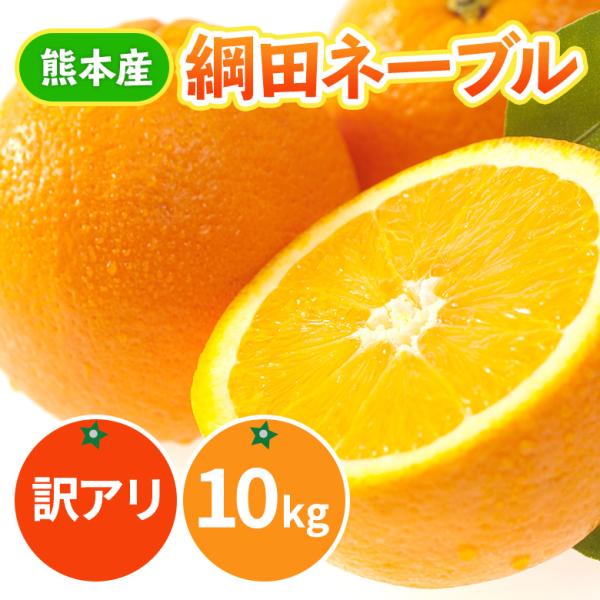 《３月中旬出荷予定》熊本県産 網田ネーブル 10kg 訳あり 送料無料