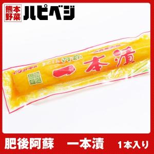 イワサキの肥後阿蘇　一本漬【1本入り】同梱専用　※こちらの商品は野菜セット購入した方のみの同梱商品になります。