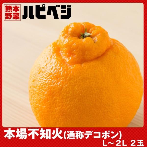 本場　不知火(通称デコポン)【L〜2L 2玉】同梱専用　※こちらの商品は野菜セット購入した方のみの同...