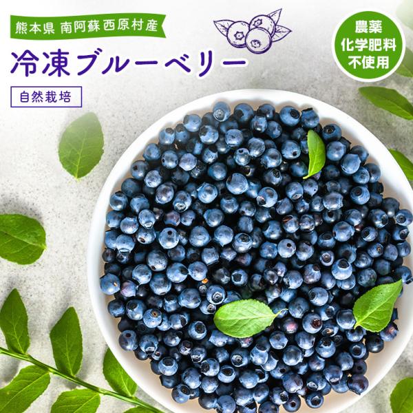 冷凍ブルーベリー 1kg 熊本県産 自然栽培 農薬 化学肥料 不使用【送料無料】