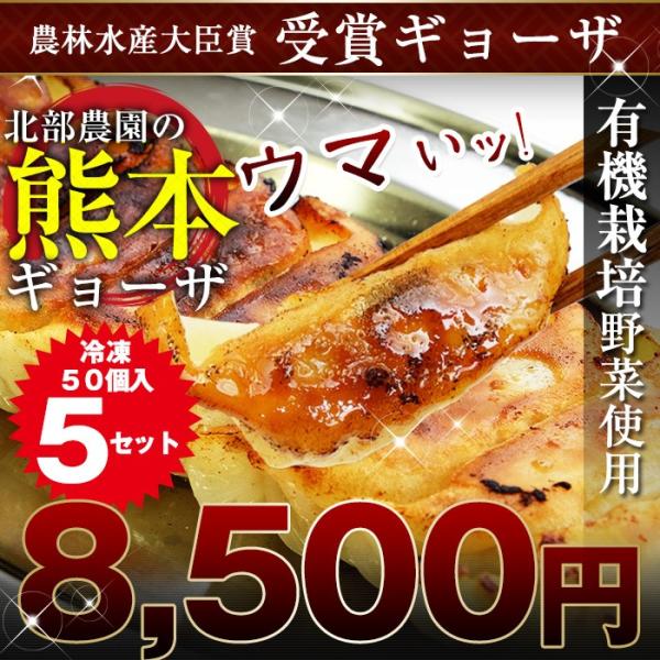 餃子250個入り（50個×5箱）≪ハピベジ厳選餃子≫熊本名物！天草梅肉ポークと有機栽培の熊本県産の野...