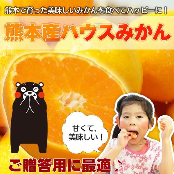 ハウスみかん2.5kg熊本県産【S】赤秀　熊本/九州/みかん/ハウスみかん/甘い/送料無料/