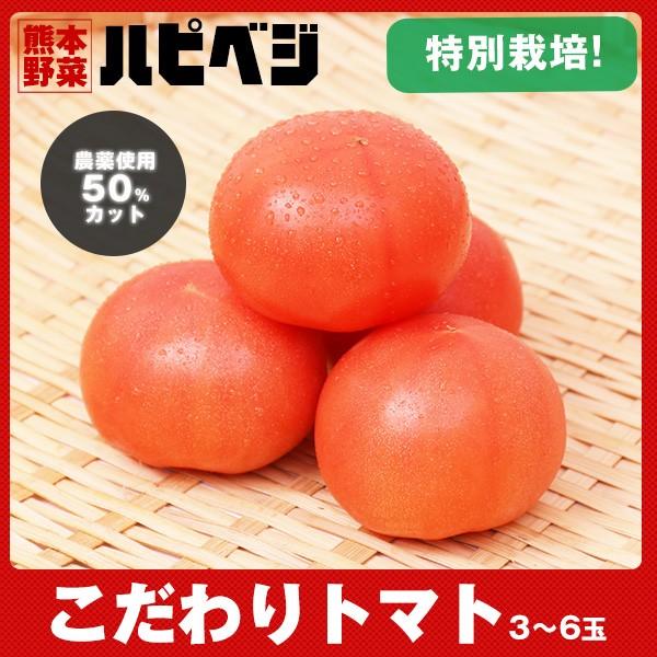 【特別栽培】こだわりトマト3-6玉入り 同梱専用　※こちらの商品は野菜セット購入した方のみの同梱商品...