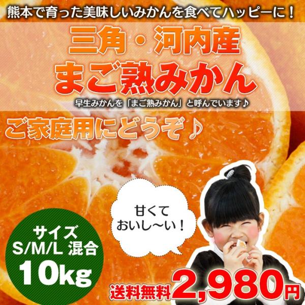 庄村さんが作る最高傑作みかん！元気と味に自信！！まご熟みかん 10kg熊本県産　熊本/九州/みかん/...