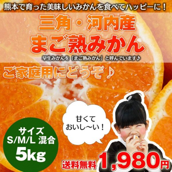 庄村さんが作る最高傑作みかん！元気と味に自信！！まご熟みかん 5kg熊本県産　熊本/九州/みかん//...