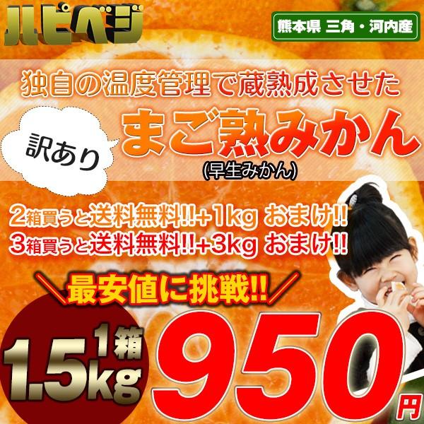 庄村さんが作る最高傑作みかん！元気と味に自信！！みかん1.5kg950円　熊本県産 まご熟みかん  ...