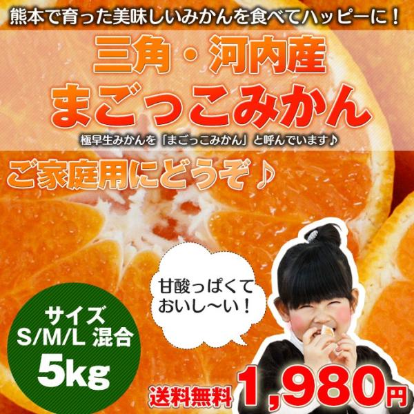 庄村さんが作る最高傑作みかん！元気と味に自信！！まごっこみかん 5kg熊本県産　★10月中旬より順次...