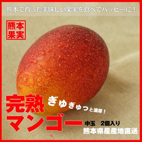 マンゴー熊本県産【中玉/2個】