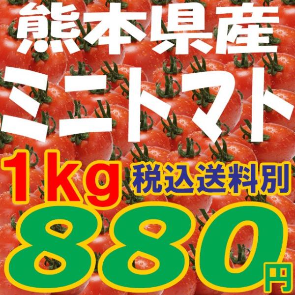 ミニトマト【ピュアチェリー/チカ2品種混合　1kg】九州/野菜/熊本/新鮮/安全/