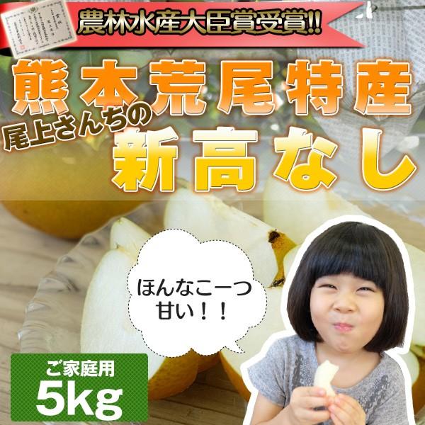 熊本県産　尾上さんちの新高なし　５kg（７玉〜９玉）10月初旬発送順次開始　ご家庭用　農林水産大臣賞...