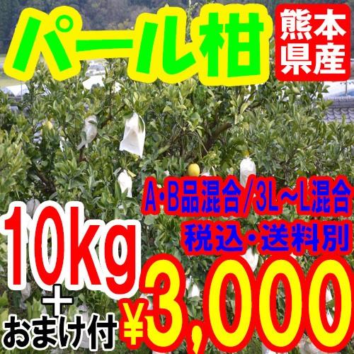 【予約/２月末〜発送予定】パール柑 （文旦）【10kg+おまけ付】■A・B品混合/3L〜L混合■　熊...