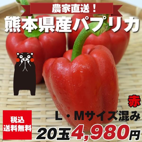 パプリカ赤【M/Lサイズ混み20玉】九州/野菜/熊本/送料無料/新鮮/安全/