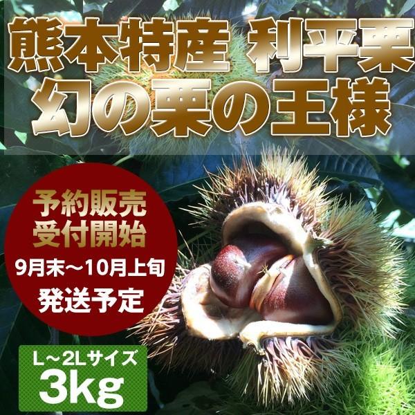 栗/利平栗/送料無料≪熊本県産　利平栗　３kg≫甘みが強く大粒なのが特徴！熊本特産の幻の栗　栗の王様...
