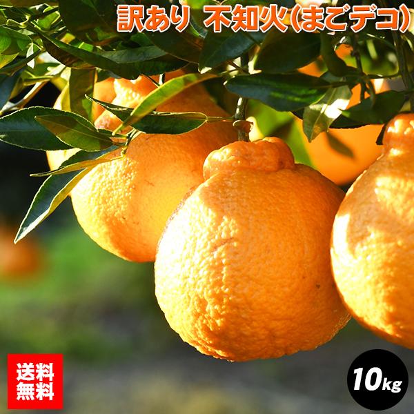 【訳あり10kg】最高傑作！庄村さんが作る熊本県不知火地区特産 不知火(まごデコ)　送料無料！ 2月...