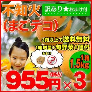 【訳あり4.5kg】最高傑作！庄村さんが作る熊本県不知火地区特産　不知火(まごデコ)　1箱増量＋旬のお野菜１個のおまけ付♪ 送料無料！ 2月末より順次発送♪