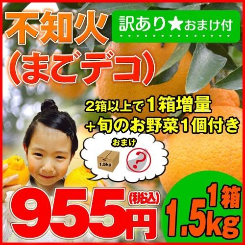 【訳あり1.5kg】最高傑作！庄村さんが作る熊本県不知火地区特産　不知火(まごデコ)　1箱増量＋旬の...
