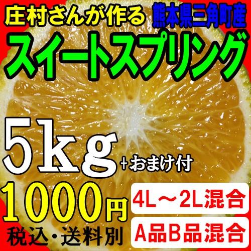 【予約/12月下旬〜発送予定】庄村さんが作る熊本県三角町産　スイートスプリング【2L〜M混合/5kg...